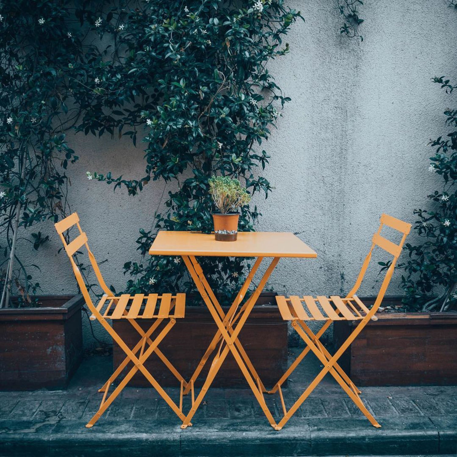 Outdoor Decor